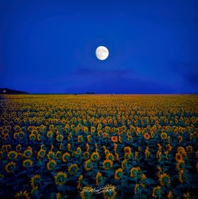 Pleine lune du 13 Juillet 2022 - sous le signe du Capricorne