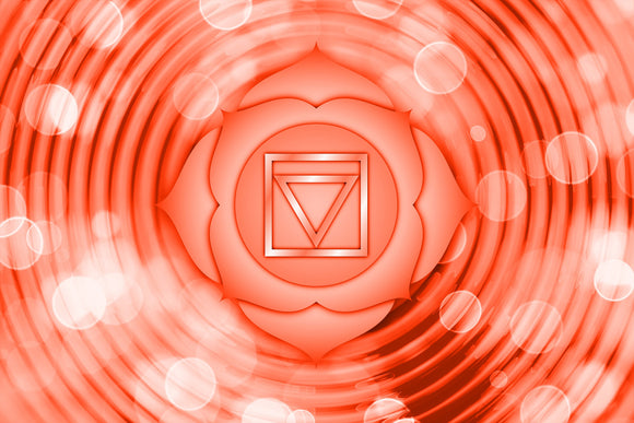 Protection / Ancrage