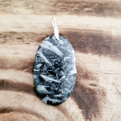 Pendentif Orthoceras