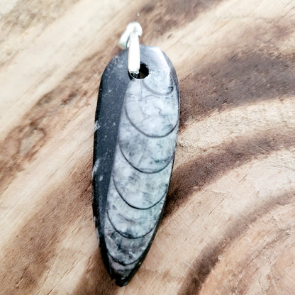 Pendentif Orthoceras