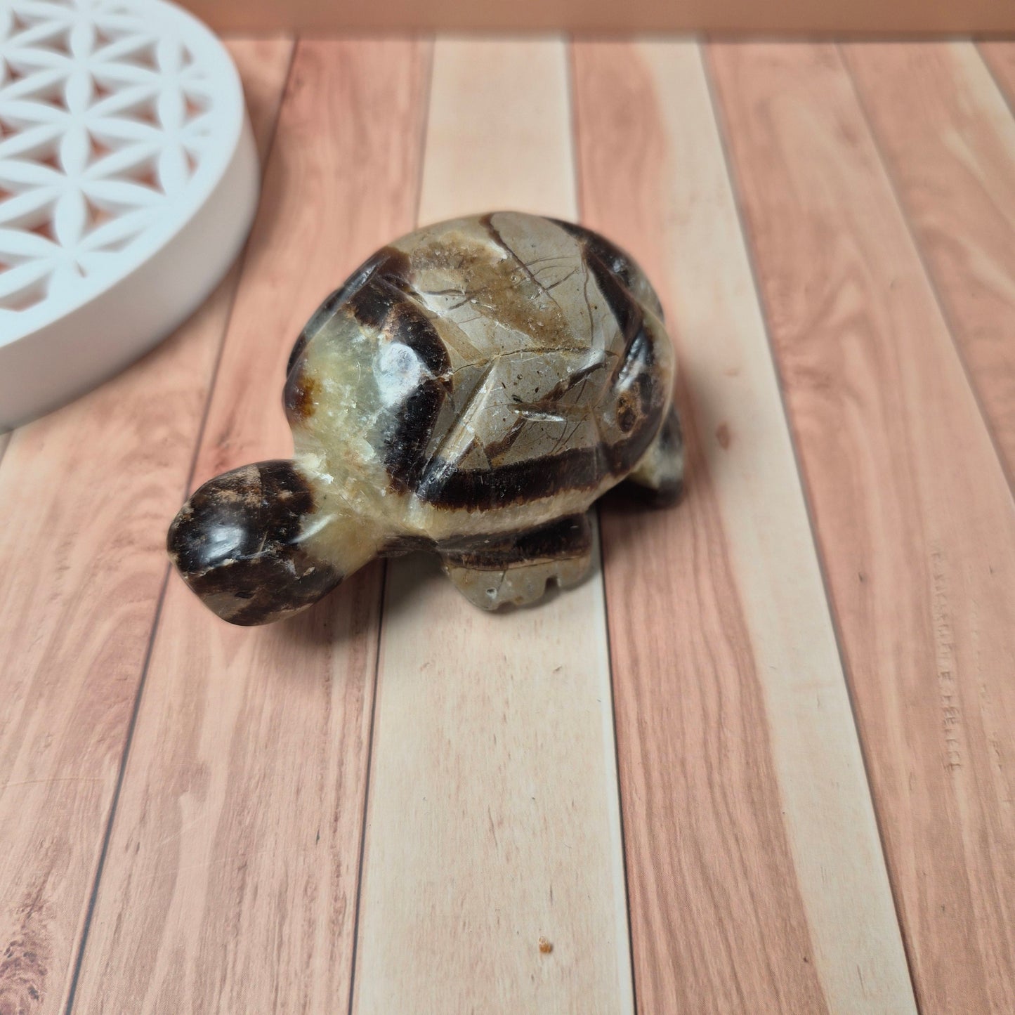 Figurine Tortue Amethyste / Jaspe Kambaba / Citrine / Labradorite / Oeil de Tigre / Quartz Rose / Septaria