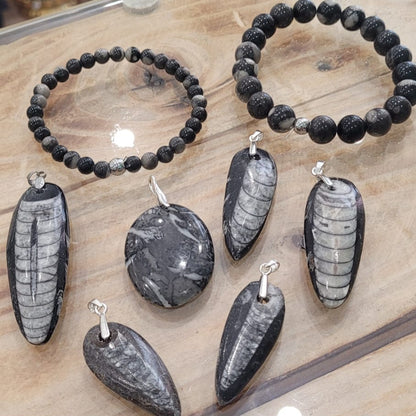Pendentif Orthoceras